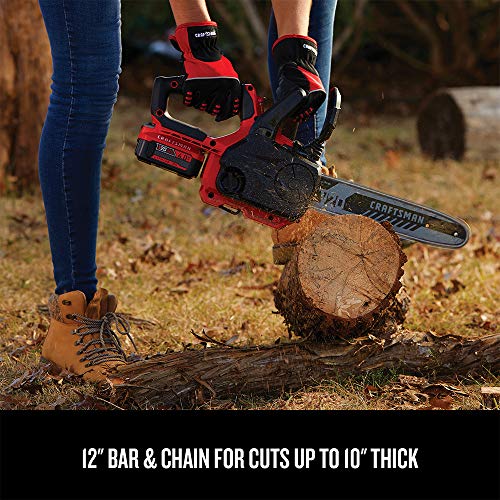 CRAFTSMAN V20 Cordless Chainsaw, 12-Inch CMCCS620M1