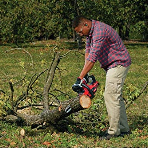 CRAFTSMAN V20 Cordless Chainsaw, 12-Inch CMCCS620M1
