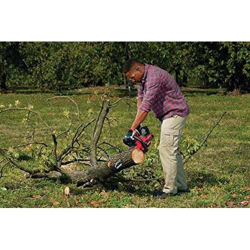 CRAFTSMAN V20 Cordless Chainsaw, 12-Inch CMCCS620M1