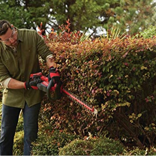 CRAFTSMAN V20 Cordless Hedge Trimmer, 22-Inch CMCHTS820D1