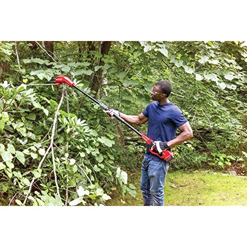 CRAFTSMAN V20 Pole Saw, 14-Foot CMCCSP20M1