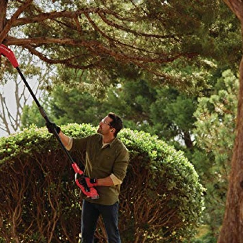 CRAFTSMAN V20 Pole Saw, 14-Foot CMCCSP20M1