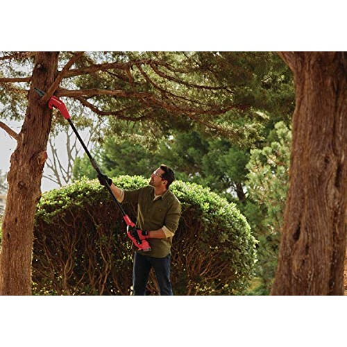 CRAFTSMAN V20 Pole Saw, 14-Foot CMCCSP20M1