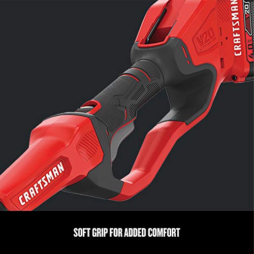 CRAFTSMAN V20 Pole Saw, 14-Foot CMCCSP20M1