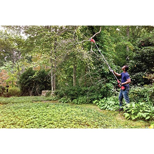 CRAFTSMAN V20 Pole Saw, 14-Foot CMCCSP20M1