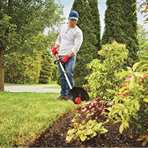 CRAFTSMAN V20 String Trimmer / Edger CMCST910M1