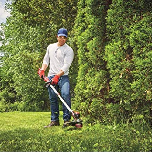 CRAFTSMAN V20 String Trimmer / Edger CMCST910M1