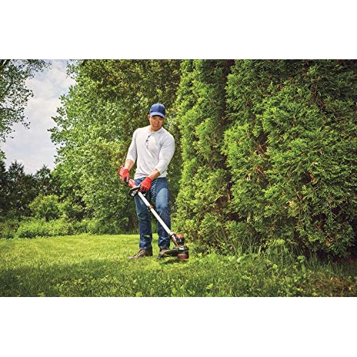 CRAFTSMAN V20 String Trimmer / Edger CMCST910M1