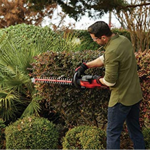 CRAFTSMAN V60 Cordless Hedge Trimmer, 24-Inch CMCHTS860E1