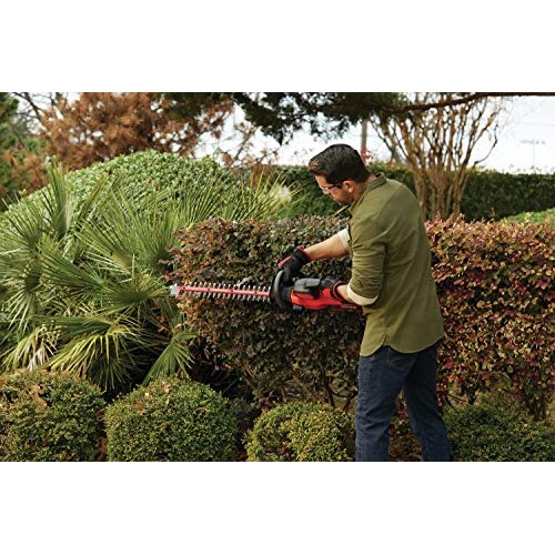 CRAFTSMAN V60 Cordless Hedge Trimmer, 24-Inch CMCHTS860E1