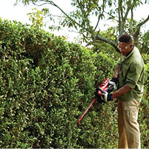 CRAFTSMAN V60 Cordless Hedge Trimmer, 24-Inch CMCHTS860E1