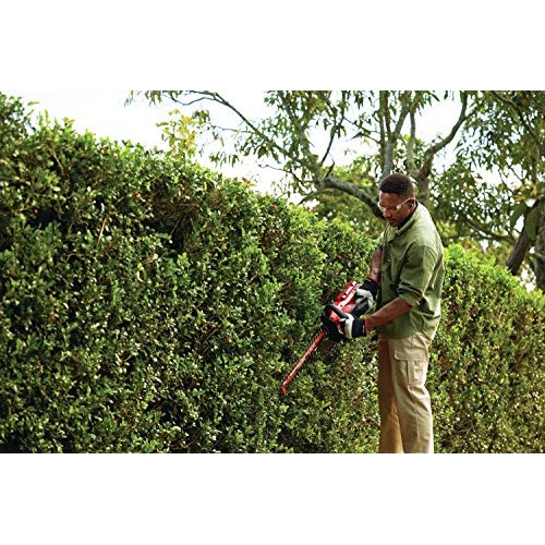CRAFTSMAN V60 Cordless Hedge Trimmer, 24-Inch CMCHTS860E1