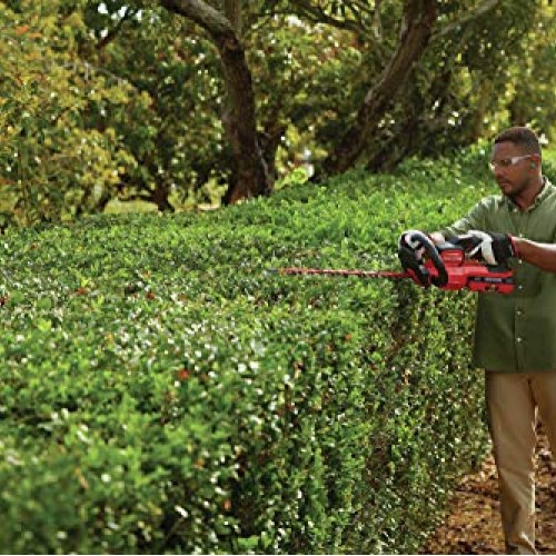 CRAFTSMAN V60 Cordless Hedge Trimmer, 24-Inch CMCHTS860E1