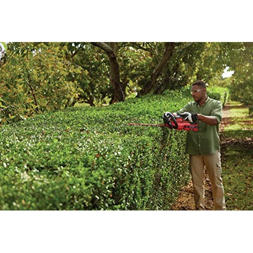 CRAFTSMAN V60 Cordless Hedge Trimmer, 24-Inch CMCHTS860E1