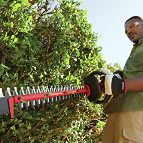 CRAFTSMAN V60 Cordless Hedge Trimmer, 24-Inch CMCHTS860E1