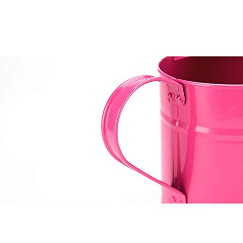 Cratone Metal Watering Can Garden Watering Bucket for Indoor Outdo...