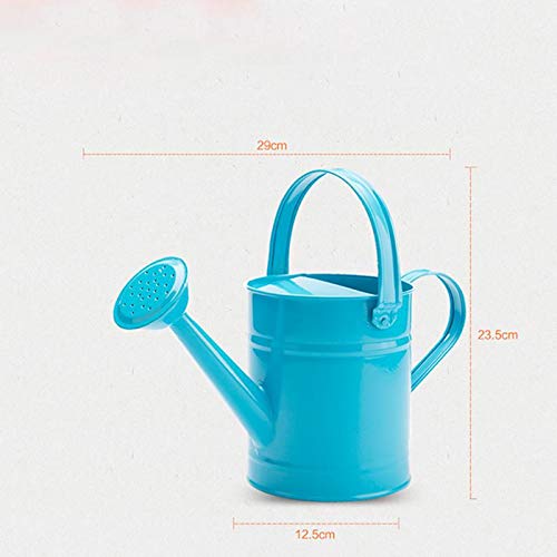Cratone Metal Watering Can Garden Watering Bucket for Indoor Outdo...