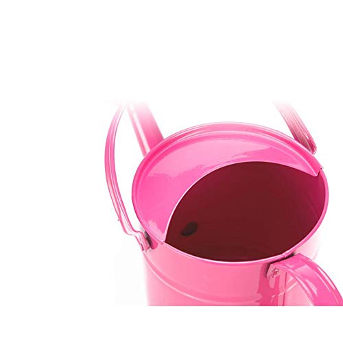 Cratone Metal Watering Can Garden Watering Bucket for Indoor Outdo...