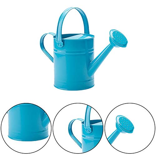 Cratone Metal Watering Can Garden Watering Bucket for Indoor Outdo...