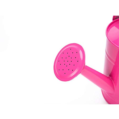 Cratone Metal Watering Can Garden Watering Bucket for Indoor Outdo...