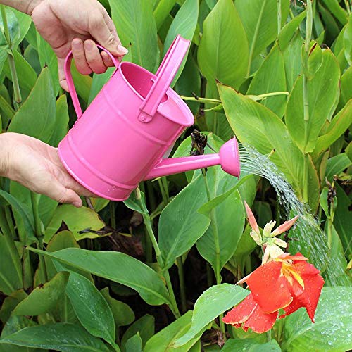 Cratone Metal Watering Can Garden Watering Bucket for Indoor Outdo...