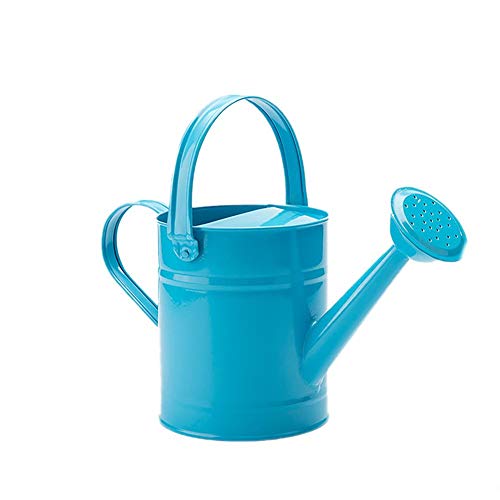 Cratone Metal Watering Can Garden Watering Bucket for Indoor Outdo...