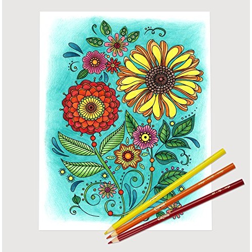 Crayola Colored Pencils, Adult Coloring, Stocking Stuffers for Tee...