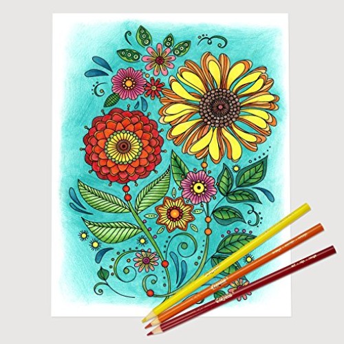 Crayola Colored Pencils, Adult Coloring, Stocking Stuffers for Tee...