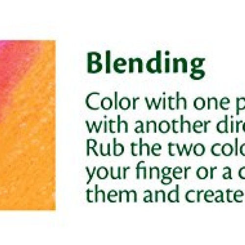 Crayola Oil Pastels, Assorted Neon Colors, Gift for Kids & Adults,...