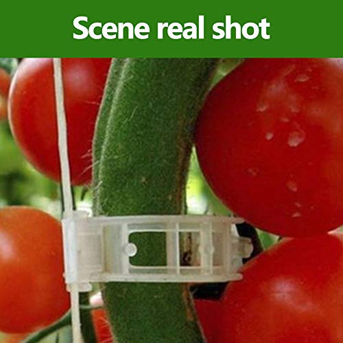 Creatlucky Plant Support Garden Clips Support Vine Clips Tomato Tr...