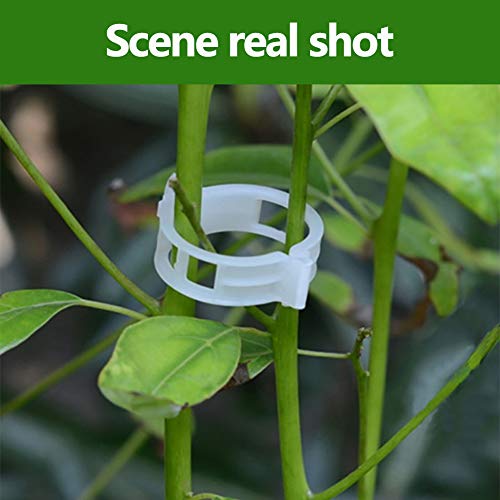 Creatlucky Plant Support Garden Clips Support Vine Clips Tomato Tr...
