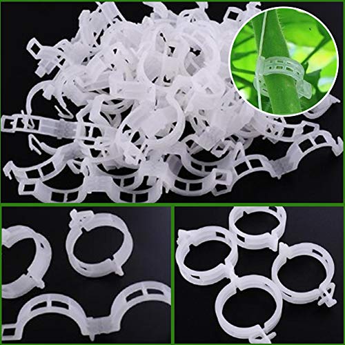 Creatlucky Plant Support Garden Clips Support Vine Clips Tomato Tr...