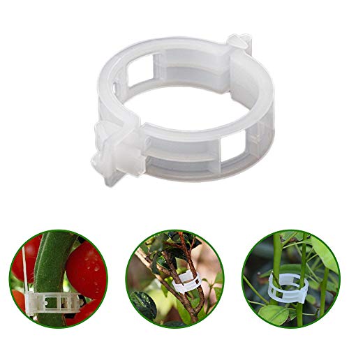 Creatlucky Plant Support Garden Clips Support Vine Clips Tomato Tr...
