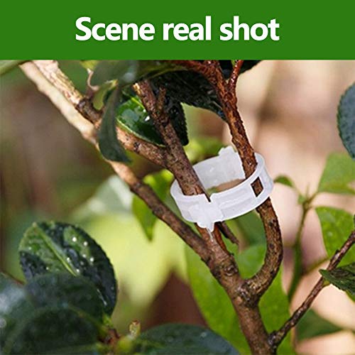 Creatlucky Plant Support Garden Clips Support Vine Clips Tomato Tr...
