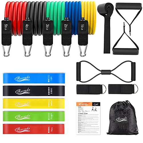 Resistance Bands Set 17pcs, Resistance Band, Exercise Bands Fitnes...