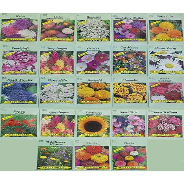 Set of 23 Valley Heirloom Green Flower Seed Packets(Guaranteed ...