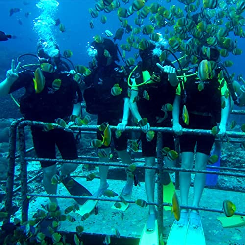 CRONDA Base Upgraded Scuba Diving Ventilator Tankless Diving Syste...
