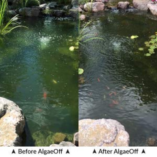 CrystalClear Algae D-Solv - EPA Registered Algaecide - 16 Ounces T...