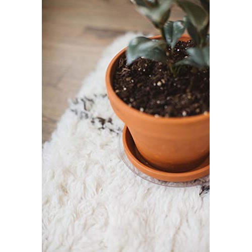 Curtis Wagner Plastics Carpet Saver Plant Saucer 5-Pack - Black,...