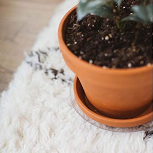 Curtis Wagner Plastics Carpet Saver Plant Saucer 5-Pack - Black,...