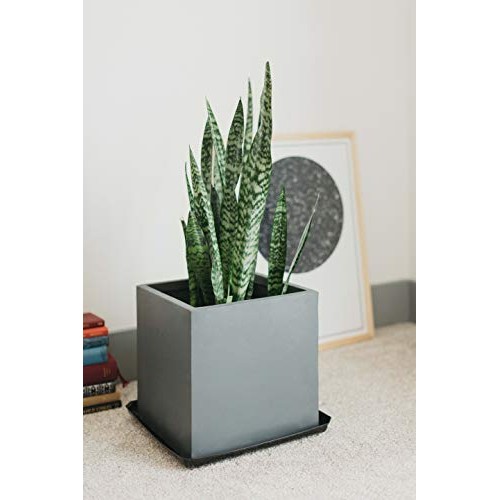 Curtis Wagner Plastics Carpet Saver Plant Saucer 5-Pack - Black,...