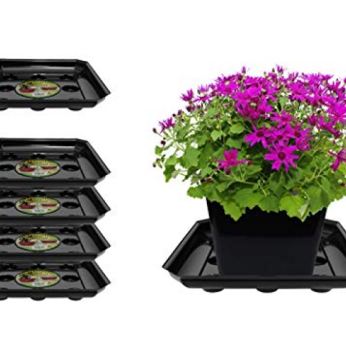 Curtis Wagner Plastics Carpet Saver Plant Saucer 5-Pack - Black,...