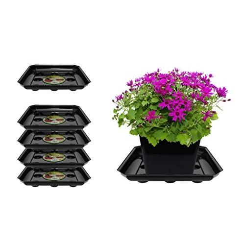 Curtis Wagner Plastics Carpet Saver Plant Saucer 5-Pack - Black,...
