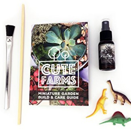 Cute Farms Terrarium Starter Kit | Moss, Vermiculite, Soil, Plant ...