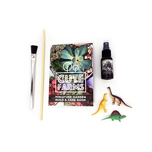 Cute Farms Terrarium Starter Kit | Moss, Vermiculite, Soil, Plant ...