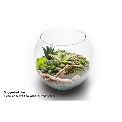 Cute Farms Terrarium Starter Kit | Moss, Vermiculite, Soil, Plant ...