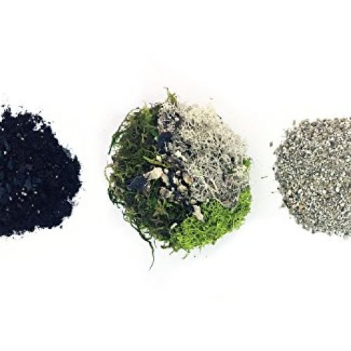 Cute Farms Terrarium Starter Kit | Moss, Vermiculite, Soil, Plant ...