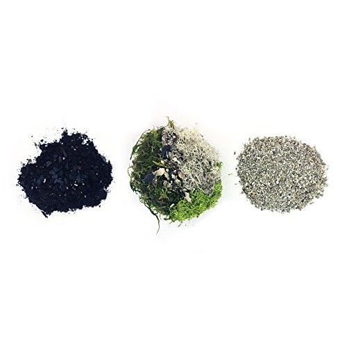 Cute Farms Terrarium Starter Kit | Moss, Vermiculite, Soil, Plant ...