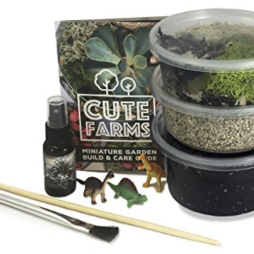 Cute Farms Terrarium Starter Kit | Moss, Vermiculite, Soil, Plant ...