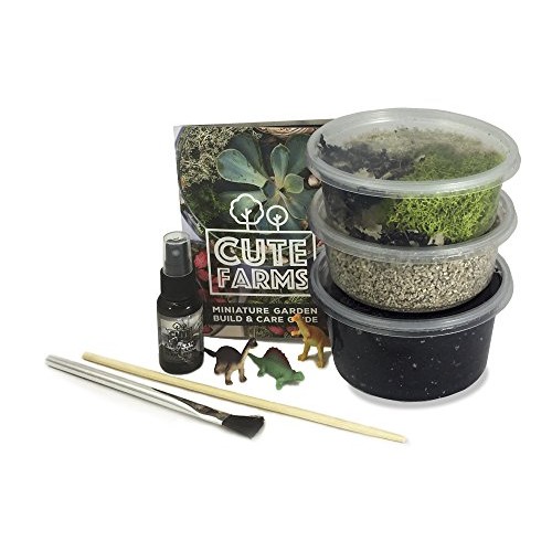 Cute Farms Terrarium Starter Kit | Moss, Vermiculite, Soil, Plant ...